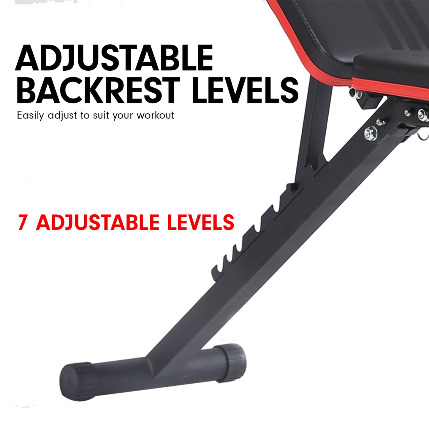 Powertrain Adjustable Exercise Bench with 7 incline decline levels for versatile workouts